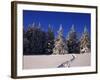 Canada, Manitoba, Riding Mountain National Park-Mike Grandmaison-Framed Photographic Print