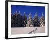 Canada, Manitoba, Riding Mountain National Park-Mike Grandmaison-Framed Photographic Print