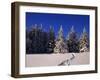 Canada, Manitoba, Riding Mountain National Park-Mike Grandmaison-Framed Photographic Print