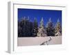 Canada, Manitoba, Riding Mountain National Park-Mike Grandmaison-Framed Photographic Print