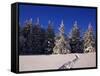 Canada, Manitoba, Riding Mountain National Park-Mike Grandmaison-Framed Stretched Canvas