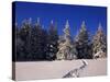 Canada, Manitoba, Riding Mountain National Park-Mike Grandmaison-Stretched Canvas