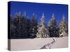 Canada, Manitoba, Riding Mountain National Park-Mike Grandmaison-Stretched Canvas