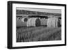 Canada, Manitoba, Rolled Hay Bales in Field-Mike Grandmaison-Framed Photographic Print