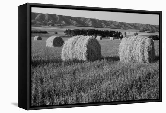 Canada, Manitoba, Rolled Hay Bales in Field-Mike Grandmaison-Framed Stretched Canvas