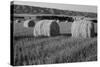 Canada, Manitoba, Rolled Hay Bales in Field-Mike Grandmaison-Stretched Canvas