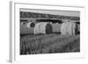 Canada, Manitoba, Rolled Hay Bales in Field-Mike Grandmaison-Framed Photographic Print