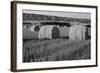 Canada, Manitoba, Rolled Hay Bales in Field-Mike Grandmaison-Framed Photographic Print