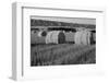 Canada, Manitoba, Rolled Hay Bales in Field-Mike Grandmaison-Framed Photographic Print