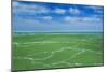 Canada, Manitoba, St. Laurent. Candle ice on Lake Manitoba.-Jaynes Gallery-Mounted Photographic Print