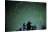 Canada, Manitoba. Star trails surround North Star with greenish glow of aurora borealis.-Jaynes Gallery-Stretched Canvas