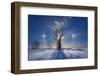 Canada, Manitoba. Sundogs and cottonwood trees in winter.-Jaynes Gallery-Framed Photographic Print