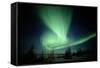 Canada, Manitoba, Wapusk National Park, Aurora Borealis-Theo Allofs-Framed Stretched Canvas