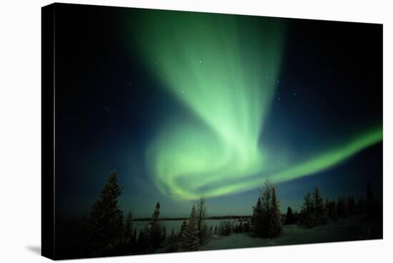 Canada, Manitoba, Wapusk National Park, Aurora Borealis-Theo Allofs-Stretched Canvas