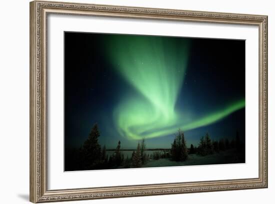 Canada, Manitoba, Wapusk National Park, Aurora Borealis-Theo Allofs-Framed Photographic Print