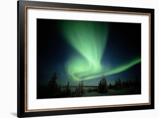 Canada, Manitoba, Wapusk National Park, Aurora Borealis-Theo Allofs-Framed Photographic Print