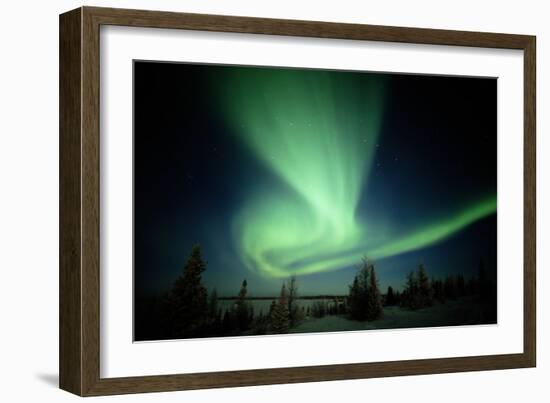 Canada, Manitoba, Wapusk National Park, Aurora Borealis-Theo Allofs-Framed Photographic Print