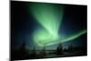 Canada, Manitoba, Wapusk National Park, Aurora Borealis-Theo Allofs-Mounted Photographic Print