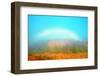 Canada, Manitoba, Whiteshell Park. Fogbow over Forest in Autumn-Jaynes Gallery-Framed Photographic Print