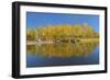 Canada, Manitoba, Whiteshell Provincial Park. Autumn foliage reflected in Whiteshell River.-Jaynes Gallery-Framed Photographic Print