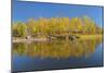 Canada, Manitoba, Whiteshell Provincial Park. Autumn foliage reflected in Whiteshell River.-Jaynes Gallery-Mounted Photographic Print