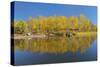 Canada, Manitoba, Whiteshell Provincial Park. Autumn foliage reflected in Whiteshell River.-Jaynes Gallery-Stretched Canvas