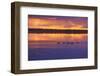 Canada, Manitoba, Whiteshell Provincial Park. Canada geese on White Lake at sunset.-Jaynes Gallery-Framed Photographic Print