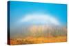 Canada, Manitoba, Whiteshell Provincial Park. Fogbow over forest in autumn colors.-Jaynes Gallery-Stretched Canvas