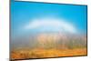 Canada, Manitoba, Whiteshell Provincial Park. Fogbow over forest in autumn colors.-Jaynes Gallery-Mounted Photographic Print