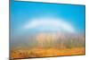 Canada, Manitoba, Whiteshell Provincial Park. Fogbow over forest in autumn colors.-Jaynes Gallery-Mounted Photographic Print