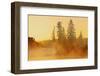 Canada, Manitoba, Winnipeg. Fog rising off Winnipeg River at sunrise.-Jaynes Gallery-Framed Photographic Print