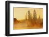 Canada, Manitoba, Winnipeg. Fog rising off Winnipeg River at sunrise.-Jaynes Gallery-Framed Photographic Print