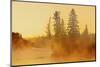 Canada, Manitoba, Winnipeg. Fog rising off Winnipeg River at sunrise.-Jaynes Gallery-Mounted Photographic Print