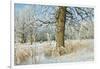 Canada, Manitoba, Winnipeg. Hoarfrost at Edge of Seine River Forest-Jaynes Gallery-Framed Photographic Print