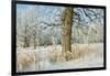 Canada, Manitoba, Winnipeg. Hoarfrost at Edge of Seine River Forest-Jaynes Gallery-Framed Photographic Print