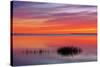 Canada, Manitoba, Winnipeg. Lake Winnipeg at sunrise.-Jaynes Gallery-Stretched Canvas