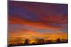 Canada, Manitoba, Winnipeg. Sky at Sunset-Jaynes Gallery-Mounted Photographic Print