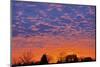 Canada, Manitoba, Winnipeg. Sky at sunset.-Jaynes Gallery-Mounted Photographic Print