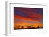 Canada, Manitoba, Winnipeg. Sky at sunset.-Jaynes Gallery-Framed Photographic Print