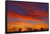 Canada, Manitoba, Winnipeg. Sky at sunset.-Jaynes Gallery-Framed Stretched Canvas