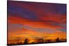 Canada, Manitoba, Winnipeg. Sky at sunset.-Jaynes Gallery-Stretched Canvas