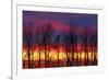 Canada, Manitoba, Winnipeg. Trees and clouds at sunrise.-Jaynes Gallery-Framed Photographic Print