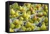 Canada, Montreal, Marche Jean Talon Market, Pears-Walter Bibikow-Framed Stretched Canvas