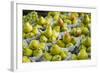 Canada, Montreal, Marche Jean Talon Market, Pears-Walter Bibikow-Framed Photographic Print