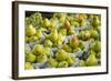 Canada, Montreal, Marche Jean Talon Market, Pears-Walter Bibikow-Framed Photographic Print