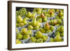 Canada, Montreal, Marche Jean Talon Market, Pears-Walter Bibikow-Framed Photographic Print