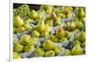 Canada, Montreal, Marche Jean Talon Market, Pears-Walter Bibikow-Framed Premium Photographic Print