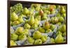 Canada, Montreal, Marche Jean Talon Market, Pears-Walter Bibikow-Framed Premium Photographic Print