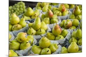 Canada, Montreal, Marche Jean Talon Market, Pears-Walter Bibikow-Mounted Premium Photographic Print