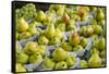 Canada, Montreal, Marche Jean Talon Market, Pears-Walter Bibikow-Framed Stretched Canvas